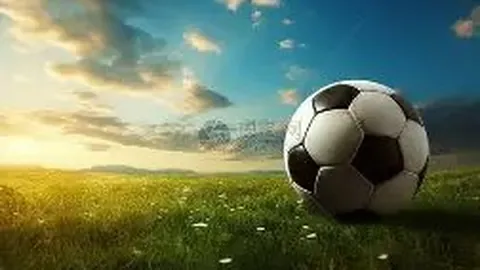 金宝博199bet体育