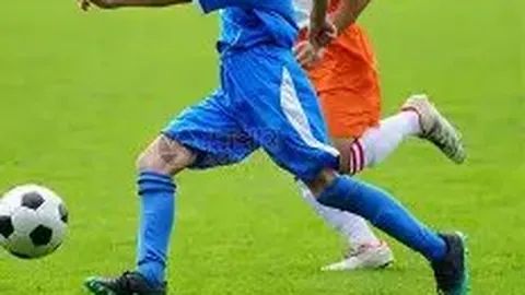 金宝博199bet体育 产品 131900 tdm