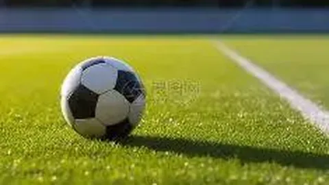 金宝博199bet体育 产品 090834 31x