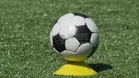 19岁艺术体操新锐携手队友共创新传奇，家人赞热爱为最大驱动力