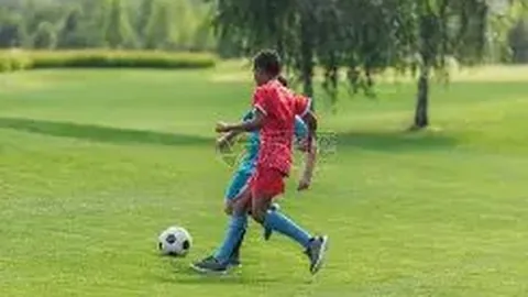 2025年中央一号文件解读：热议乡村振兴战略与中国经济展望